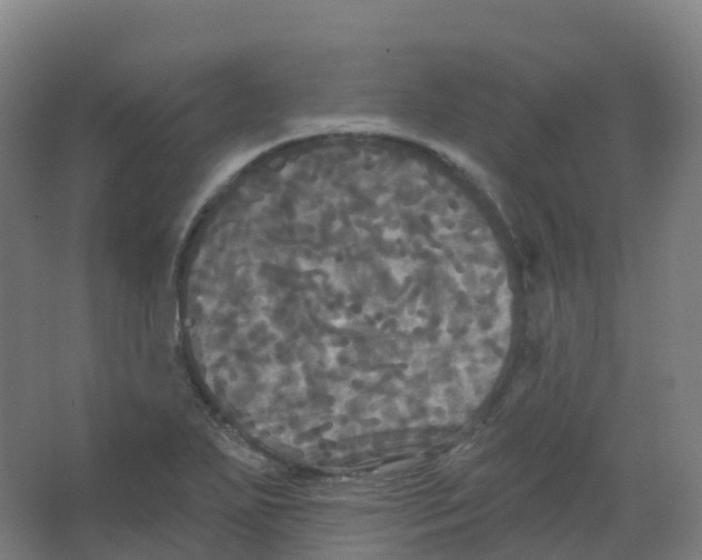 X0000066931271200604141948