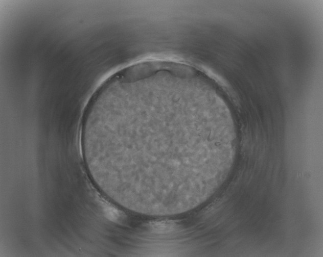 X0000066931272200604141948