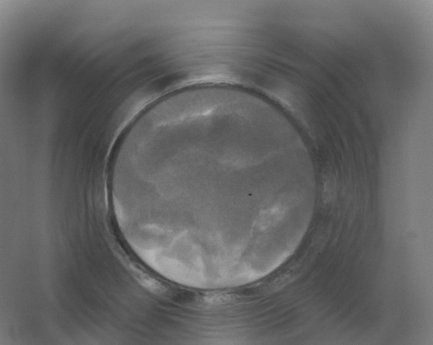 X0000066931274200604141948