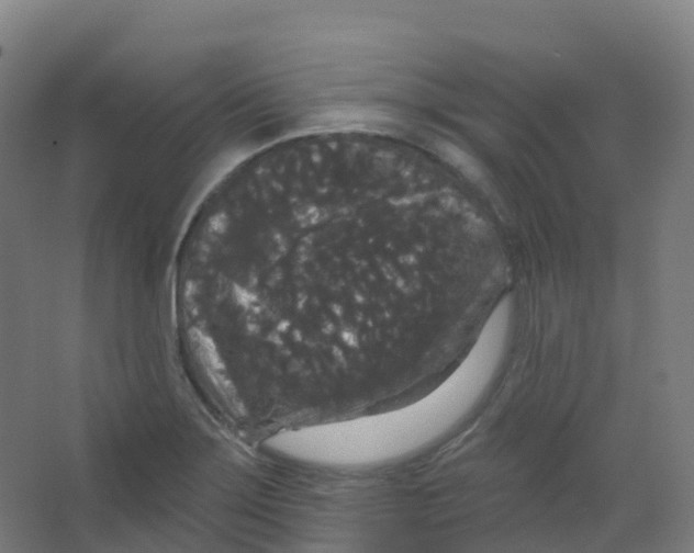 X0000066931275200604141948