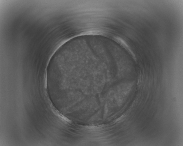 X0000066931276200604141948