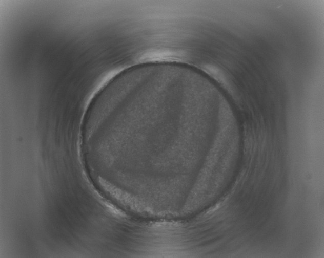 X0000066931277200604141948