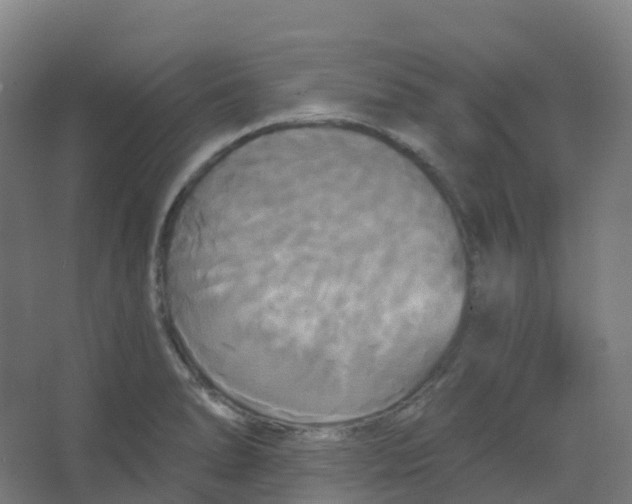 X0000066931278200604141948