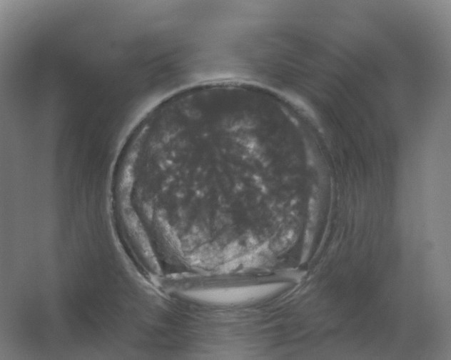 X0000066931279200604141948