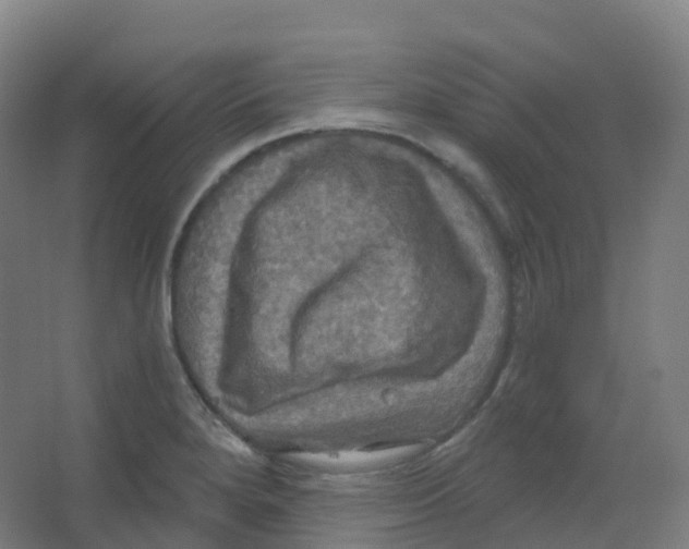 X0000066931280200604141948