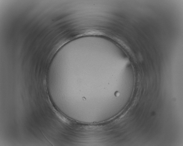 X0000066931281200604141948