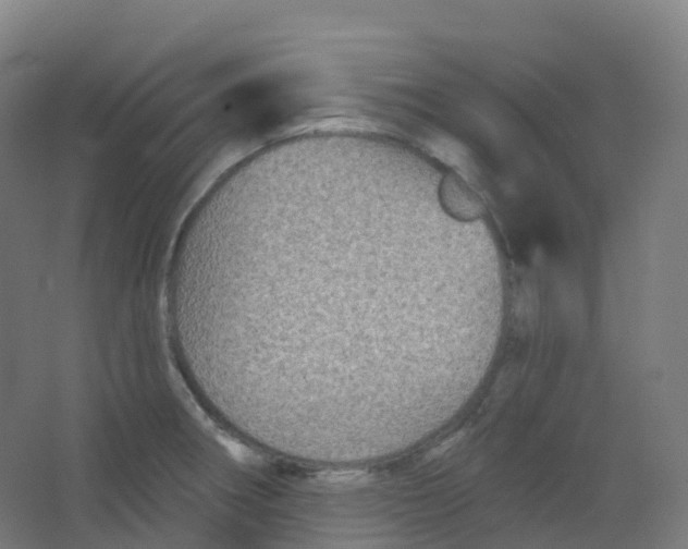 X0000066931282200604141948