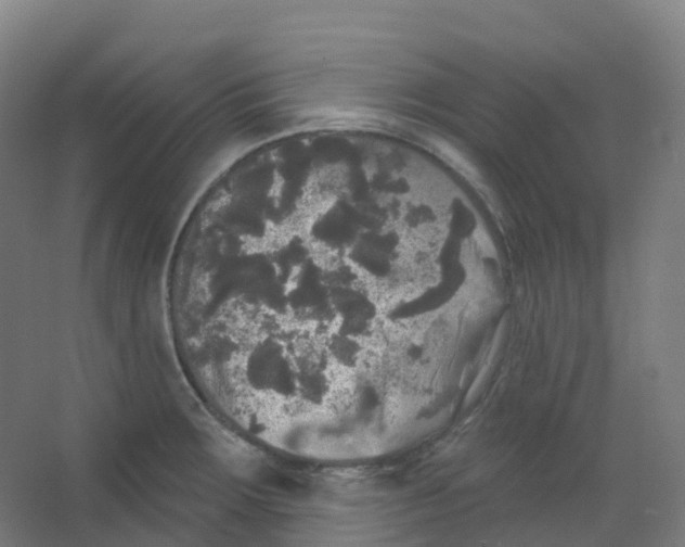 X0000066931283200604141948