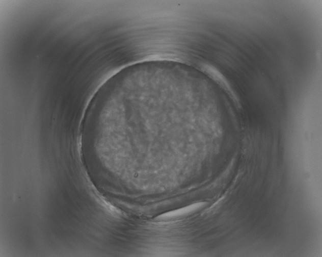 X0000066931284200604141948