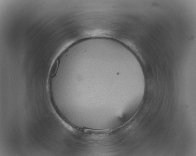 X0000066931285200604141948