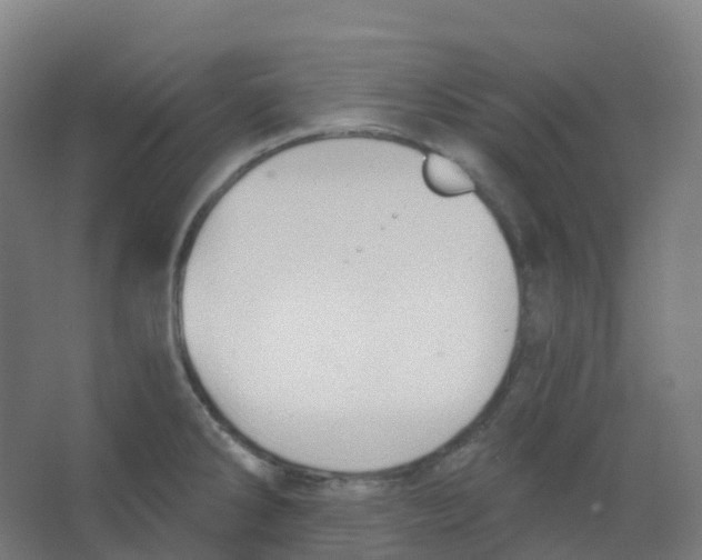 X0000066931286200604141948