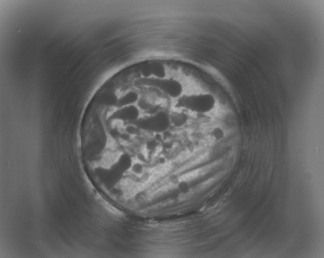 X0000066931287200604141948