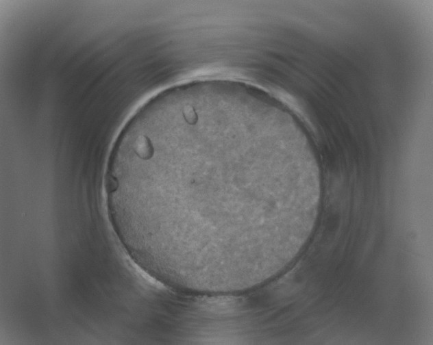 X0000066931288200604141948