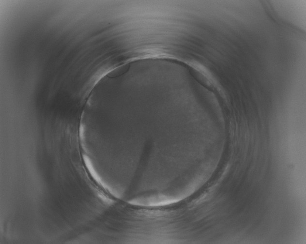 X0000066931289200604141948