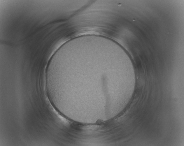 X0000066931290200604141948