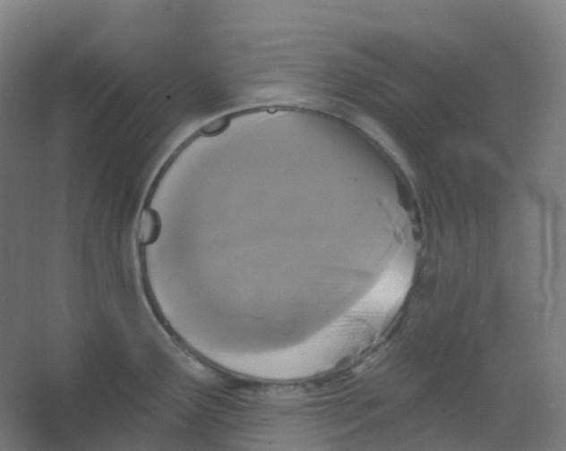 X0000066931291200604141948