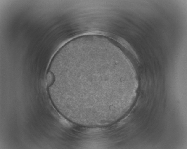 X0000066931292200604141948