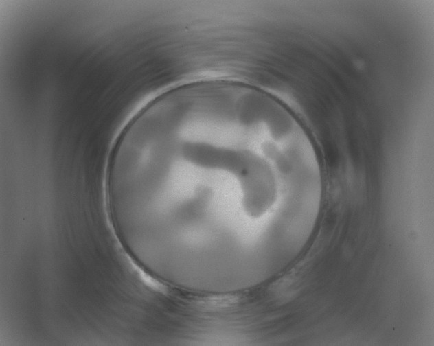 X0000066931294200604141948