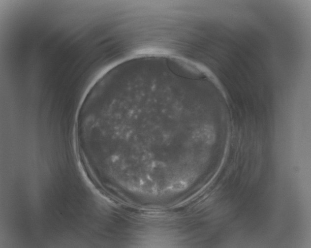 X0000066931295200604141948