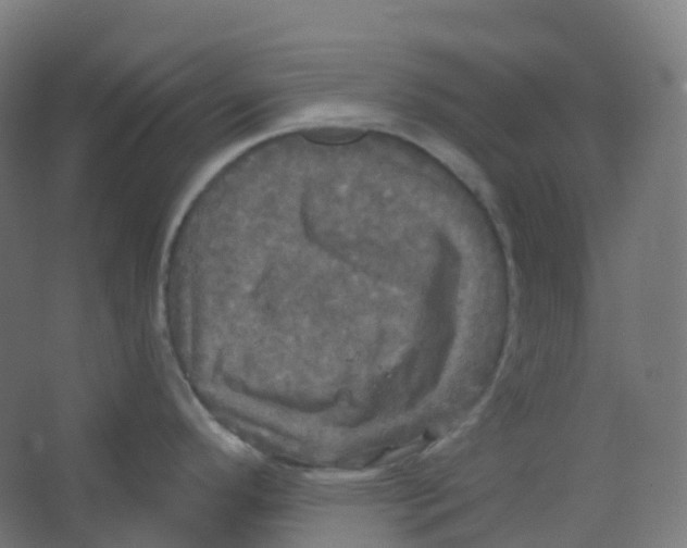 X0000066931296200604141948