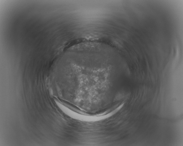 X0000066931298200604141947