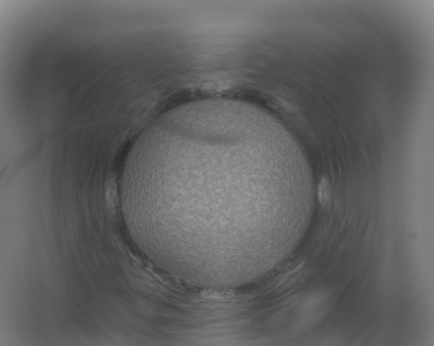 X0000066931299200604141947