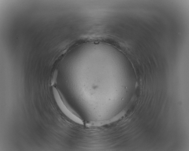 X0000066931300200604141947