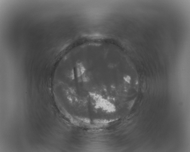 X0000066931301200604141947