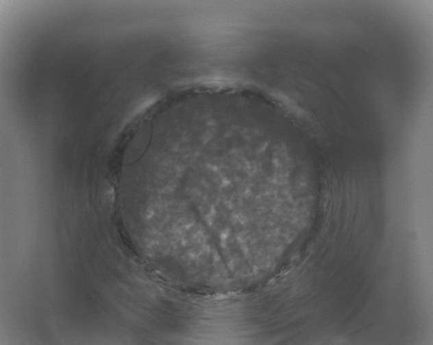 X0000066931302200604141947