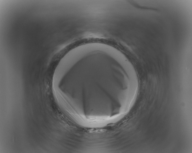 X0000066931303200604141947