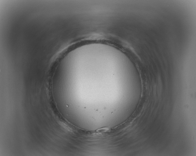 X0000066931304200604141947