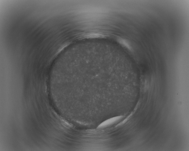 X0000066931305200604141947