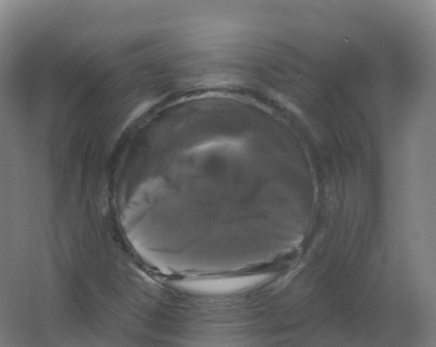 X0000066931306200604141947