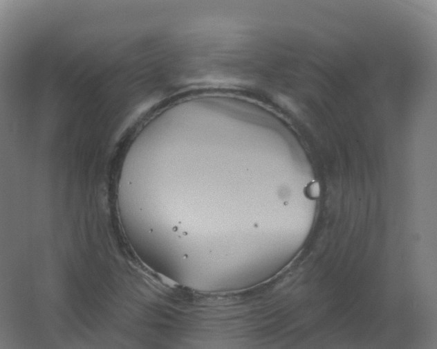 X0000066931307200604141947