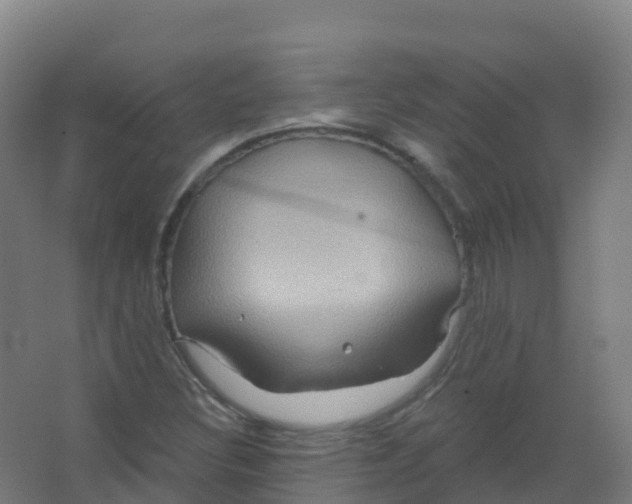 X0000066931308200604141947