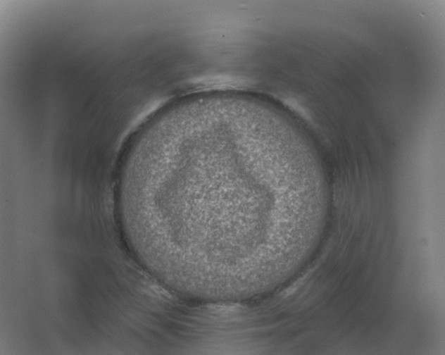 X0000066931309200604141947