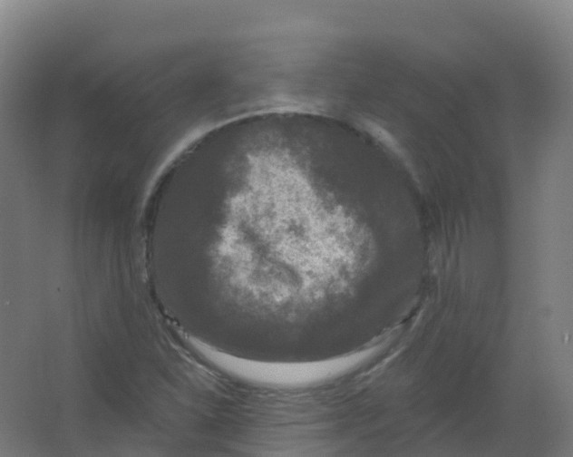 X0000066931310200604141947