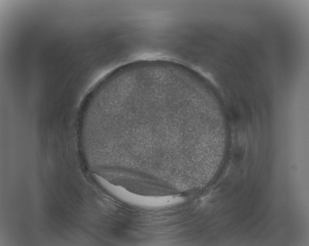 X0000066931311200604141947