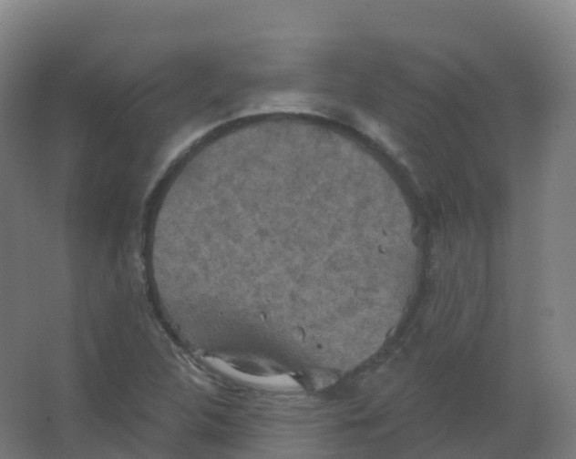 X0000066931312200604141947