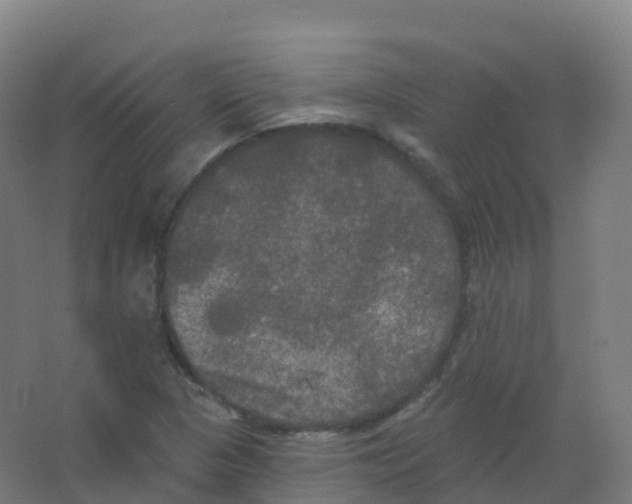 X0000066931313200604141947