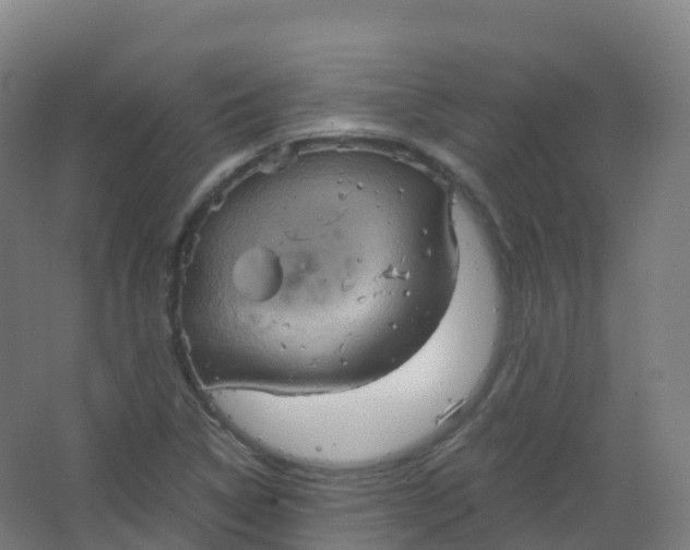 X0000066931314200604141947