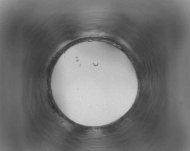 X0000066931315200604141947