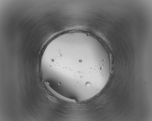 X0000066931316200604141947