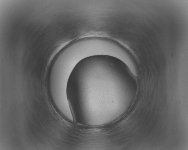 X0000066931317200604141947