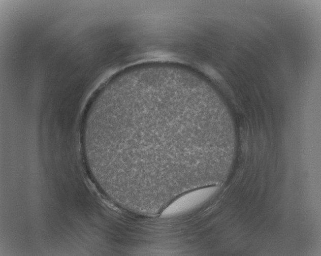 X0000066931318200604141947