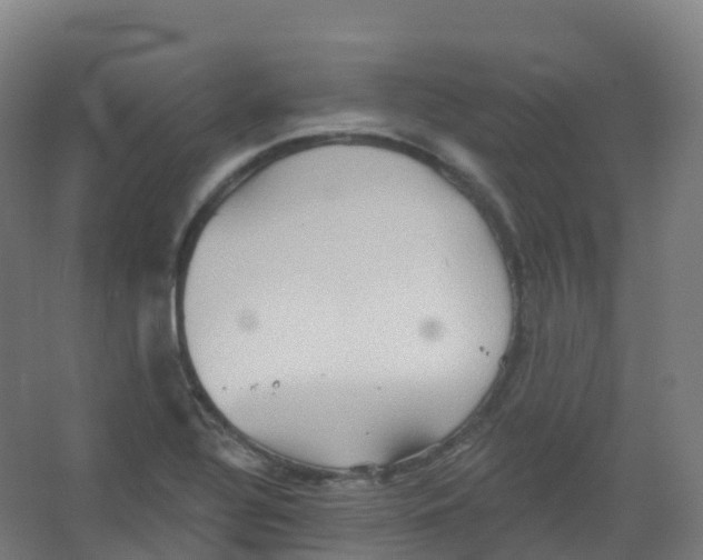 X0000066931320200604141948