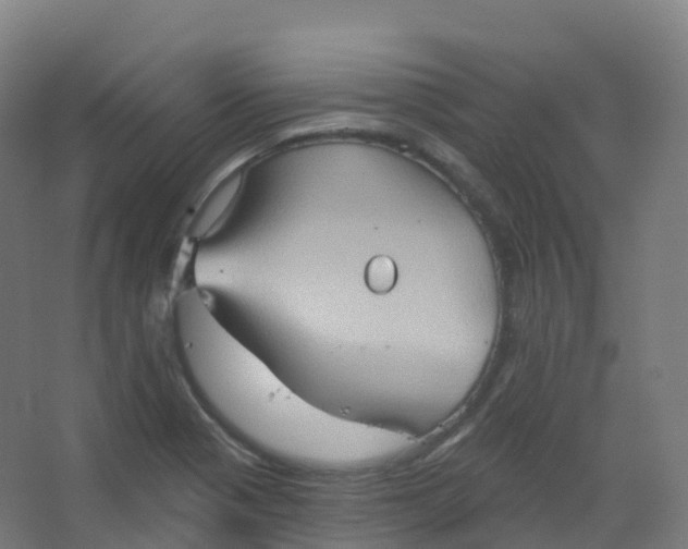 X0000066931321200604141948