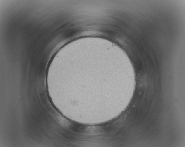 X0000066931322200604141948