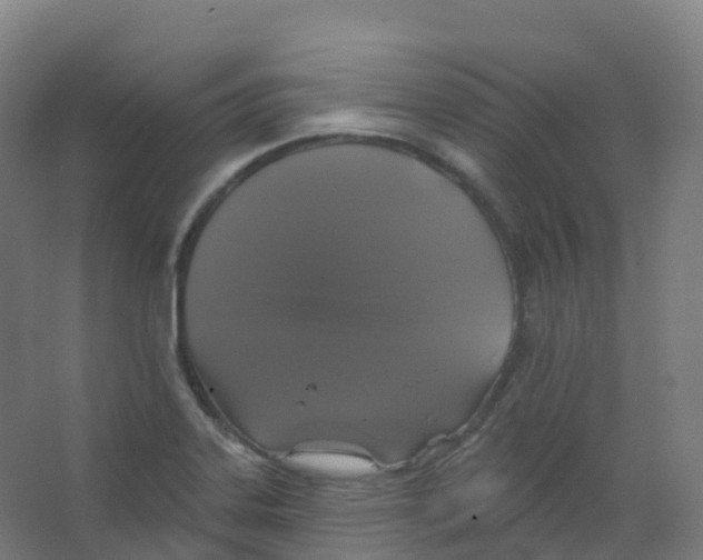 X0000066931323200604141948