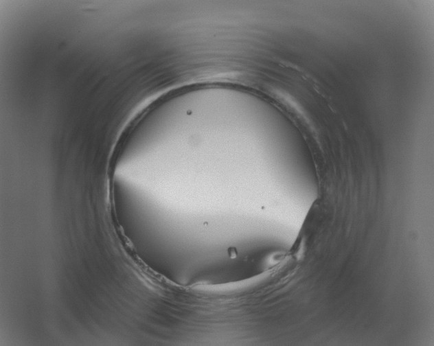 X0000066931324200604141948